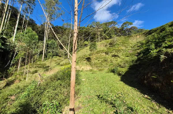 Sítio para venda em São Pedro De Alcântara/SC