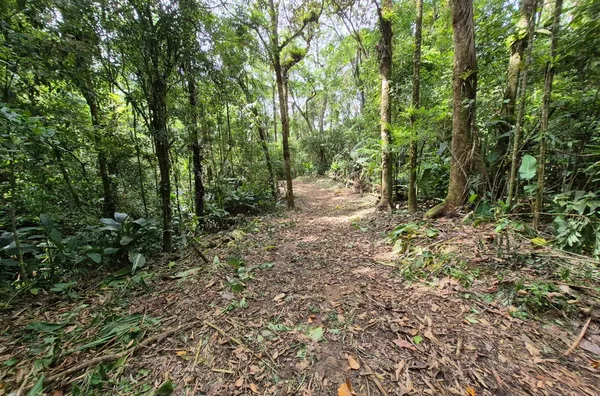 Sítio em São Pedro De Alcântara