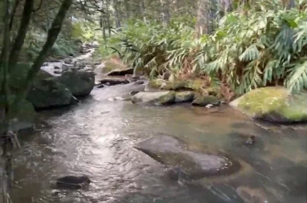 SÍTIO COM 12 HECTARES, MUITA ÁGUA E NATUREZA EM SANTA FILOMENA – SÃO PEDRO DE ALCÂNTARA