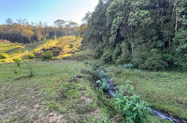 Sítio para venda, Santa Filomena, São Pedro De Alcântara - Foto 9