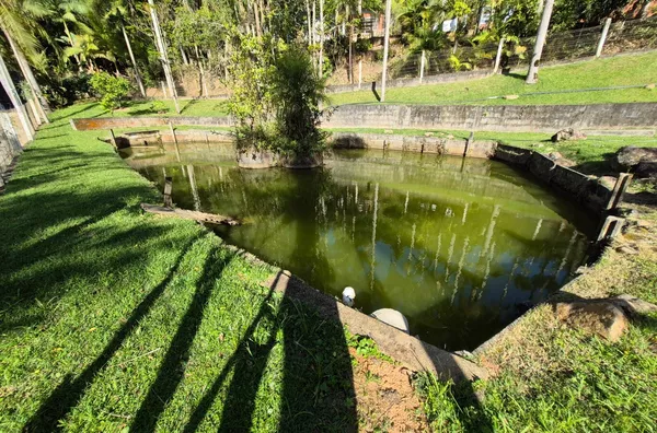 Terreno para venda em São Pedro De Alcântara/SC