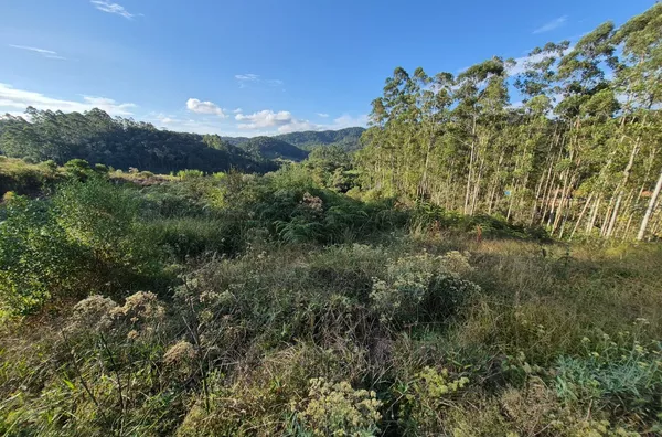 Sítio para venda em São Pedro De Alcântara/SC