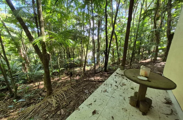Sítio para venda em São Pedro De Alcântara/SC