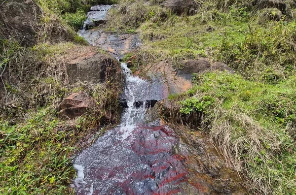 Sítio para venda em Angelina/SC