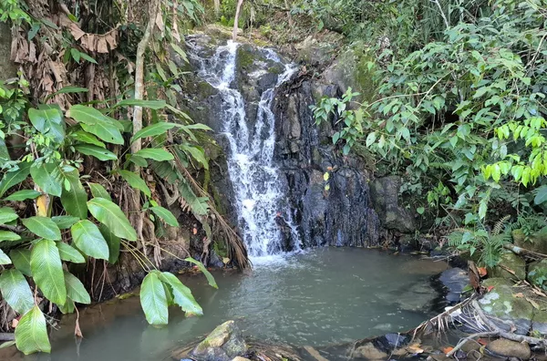Sítio para venda em São Pedro De Alcântara/SC