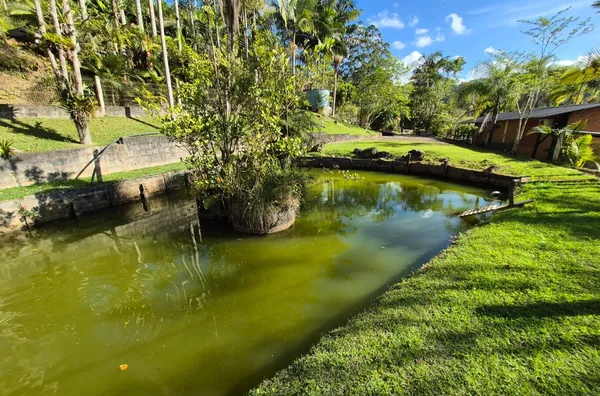 Terreno para venda em São Pedro De Alcântara/SC