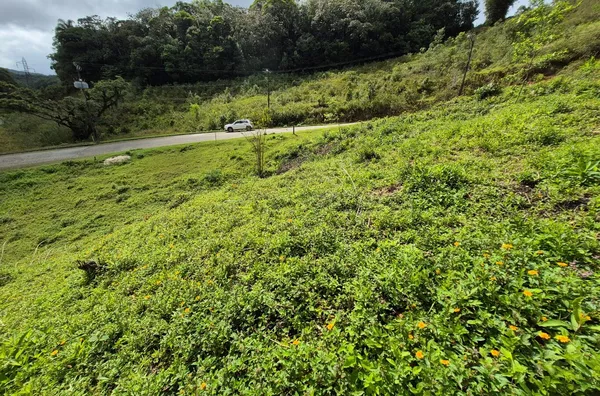 Terreno em São Pedro De Alcântara