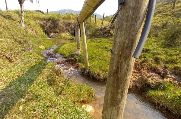 Sítio para venda em São Pedro De Alcântara/SC