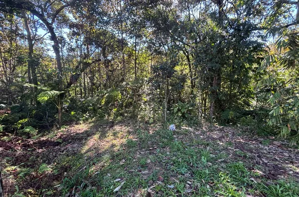 TERRENO RURAL COM 11,8 HECTARES – NATUREZA, ÁGUA E PRIVACIDADE EM SÃO PEDRO DE ALCÂNTARA