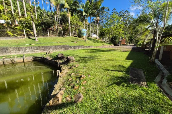 Terreno para venda em São Pedro De Alcântara/SC