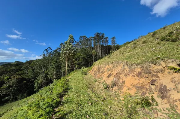 Sítio para venda em São Pedro De Alcântara/SC