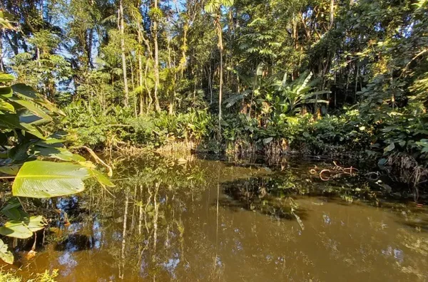 Sítio para venda em São Pedro De Alcântara/SC