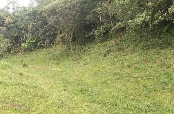 Sítio para venda em São Pedro De Alcântara/SC