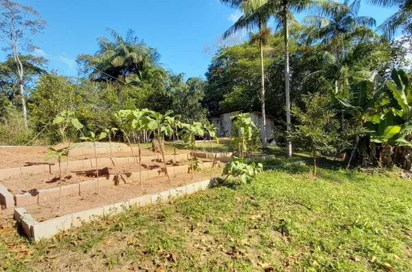 Sítio para venda em São Pedro de Alcântara/SC
