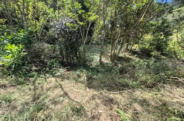 TERRENO URBANO À VENDA – CUBATÃO, SÃO PEDRO DE ALCÂNTARA
