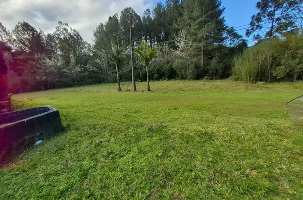 SÍTIO COM 12 HECTARES, MUITA ÁGUA E NATUREZA EM SANTA FILOMENA – SÃO PEDRO DE ALCÂNTARA - Foto 10