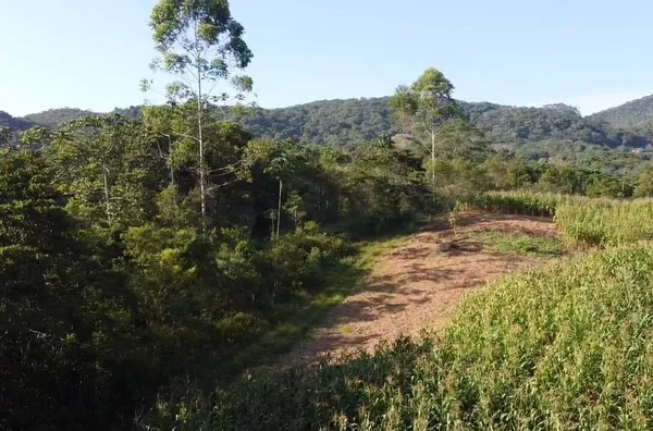 Sítio para venda em São Pedro De Alcântara/SC