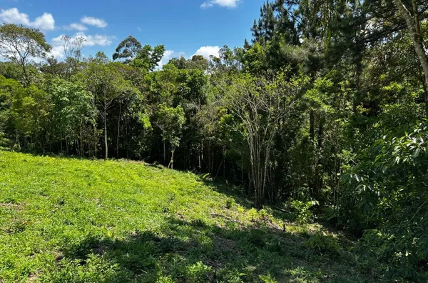 Sítio para venda em São Pedro De Alcântara/SC