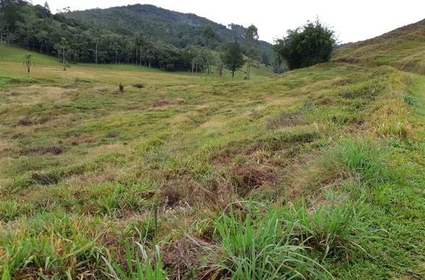 Sítio em São Pedro de Alcântara/SC
