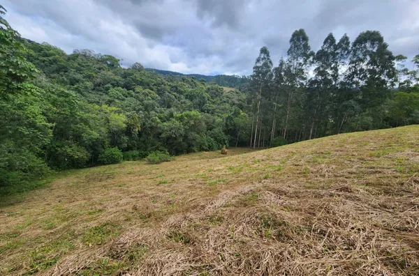 Sítio para venda em São Pedro De Alcântara/SC