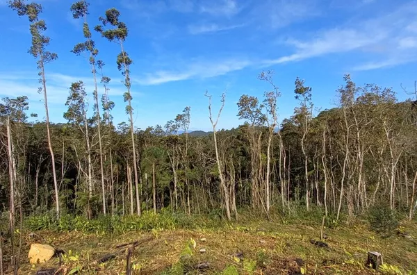 Sítio em são pedro de alcântara