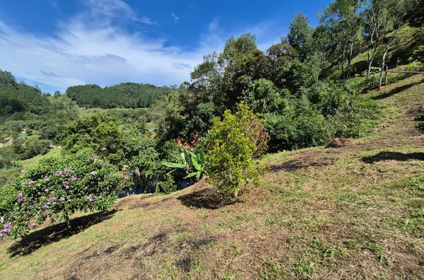 Sítio para venda em São Pedro De Alcântara/SC