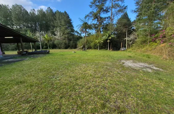 SÍTIO COM 12 HECTARES, MUITA ÁGUA E NATUREZA EM SANTA FILOMENA – SÃO PEDRO DE ALCÂNTARA - Foto 13