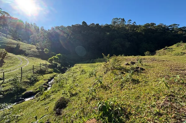 Sítio para venda, Santa Filomena, São Pedro De Alcântara - Foto 14