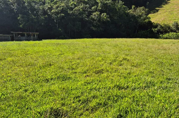 Sítio para venda em São Pedro De Alcântara/SC