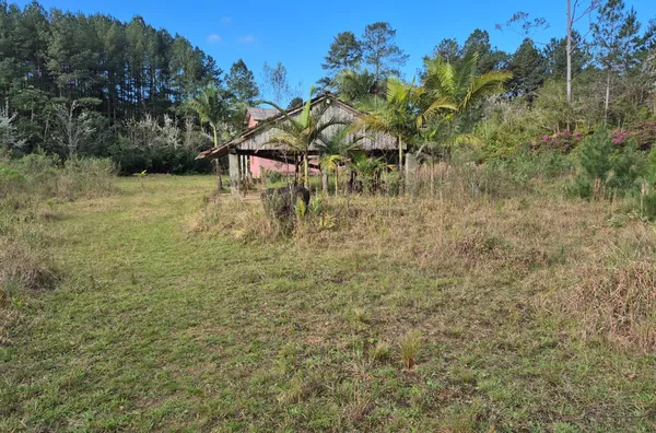 SÍTIO COM 12 HECTARES, MUITA ÁGUA E NATUREZA EM SANTA FILOMENA – SÃO PEDRO DE ALCÂNTARA - Foto 18