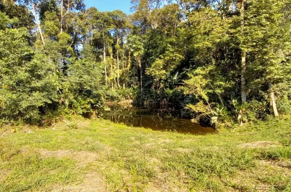 Sítio para venda em São Pedro De Alcântara/SC