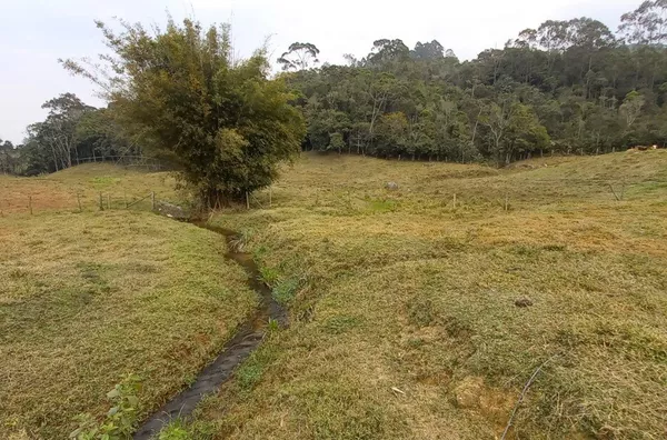 Sítio para venda,  Cubatão, São Pedro De Alcântara