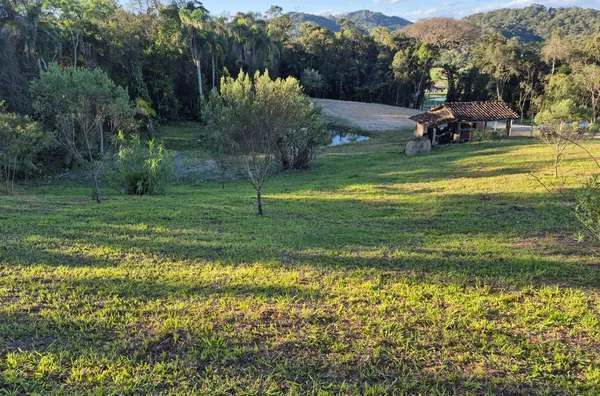 Sítio para venda em São Pedro De Alcântara/SC