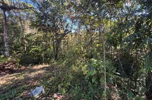 TERRENO RURAL COM 11,8 HECTARES – NATUREZA, ÁGUA E PRIVACIDADE EM SÃO PEDRO DE ALCÂNTARA