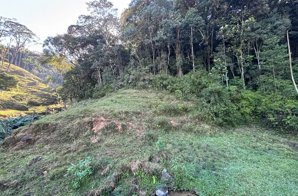 Sítio para venda, Santa Filomena, São Pedro De Alcântara - Foto 7