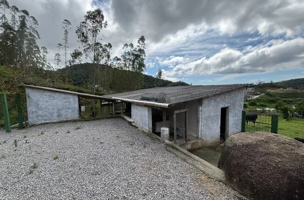 SÍTIO À VENDA – COLÔNIA SANTANA, SÃO JOSÉ/SC - Foto 8
