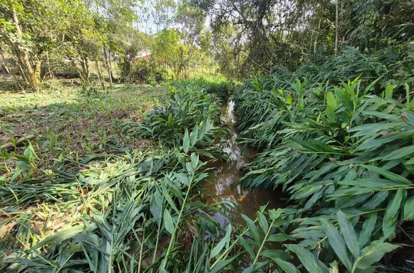 TERRENO URBANO À VENDA – CUBATÃO, SÃO PEDRO DE ALCÂNTARA - Foto 8