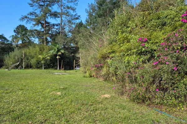 SÍTIO COM 12 HECTARES, MUITA ÁGUA E NATUREZA EM SANTA FILOMENA – SÃO PEDRO DE ALCÂNTARA - Foto 15