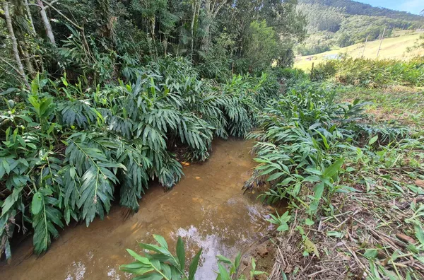 TERRENO URBANO À VENDA – CUBATÃO, SÃO PEDRO DE ALCÂNTARA
