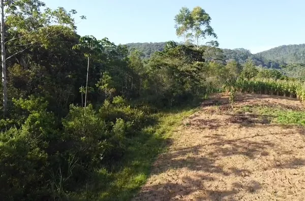 Sítio para venda em São Pedro De Alcântara/SC