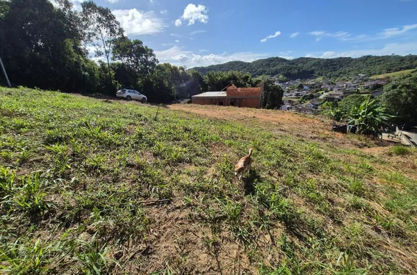 Terreno em São Pedro De Alcântara