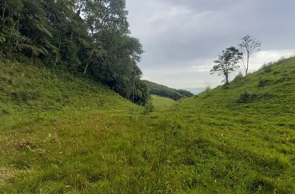 Sítio para venda em São Pedro De Alcântara/SC