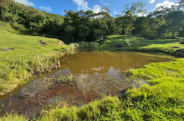 Terreno para venda em São Pedro De Alcântara/SC