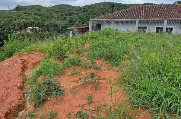 Terreno para venda no centro de São Pedro De Alcântara/SC