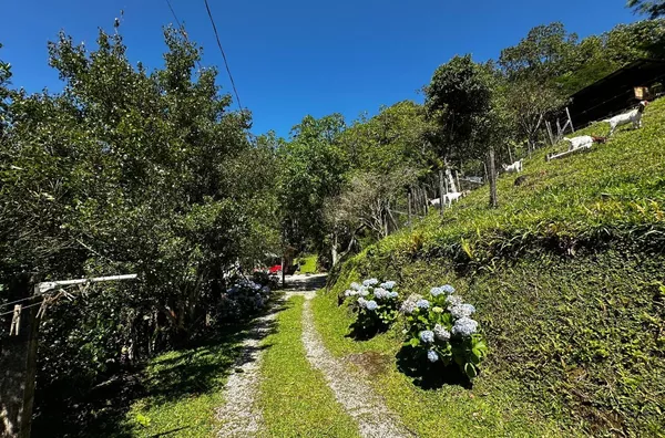 Chácara para venda em São Pedro De Alcântara/SC