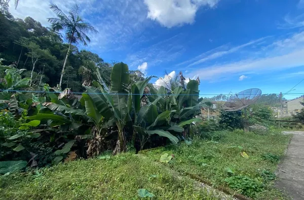 Casa para aluguel,  Santa Teresa, São Pedro De Alcântara