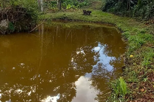 Sítio em São Pedro De Alcântara/SC - Foto 7