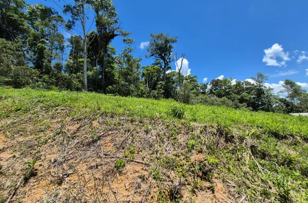 Sítio para venda em São Pedro De Alcântara/SC
