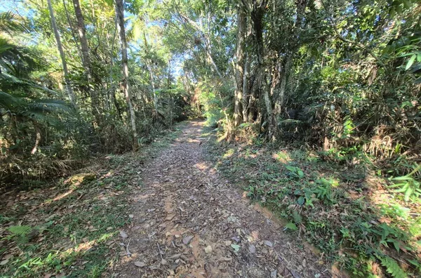 Sítio para venda em São Pedro De Alcântara/SC