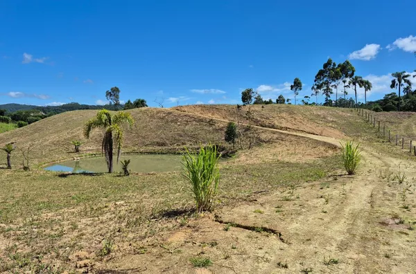 Sítio para venda em São Pedro De Alcântara/SC